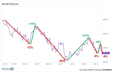 Short Positions: Navigating Bear